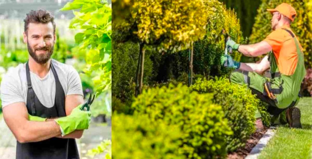 उत्तराखण्ड में खुल गया सरकारी नौकरी का पिटारा, जल्द करें आवेदन खबर कमेंट में